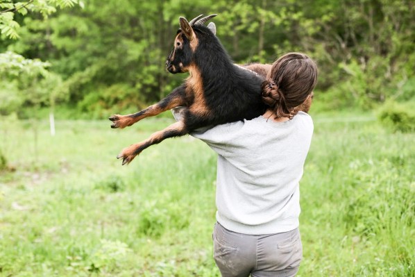 RDorrell 4 Credit John Pierce preview