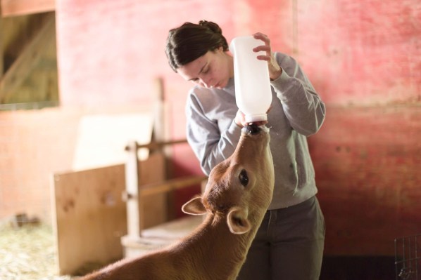 RDorrell 5 Credit John Pierce preview